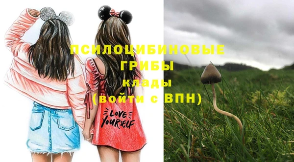 PSILOCYBIN Волоколамск