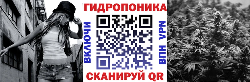 Марихуана Ganja  купить наркотики сайты  Питкяранта 